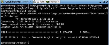 Download torrent