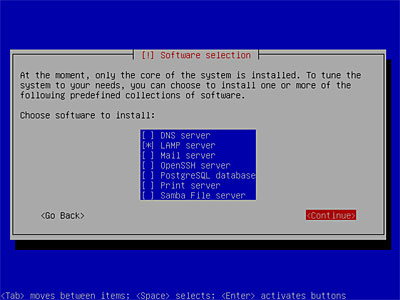 Ubuntu server install software selection